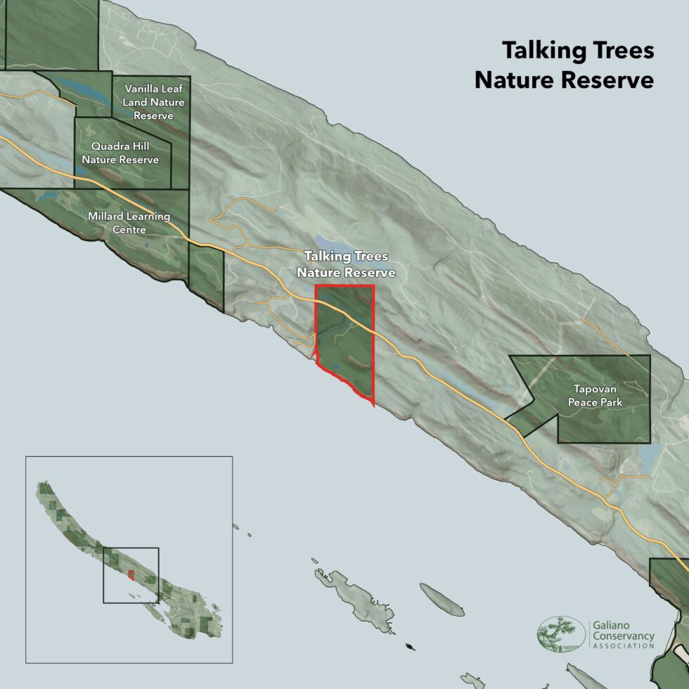 Talking Trees Nature Reserve in context